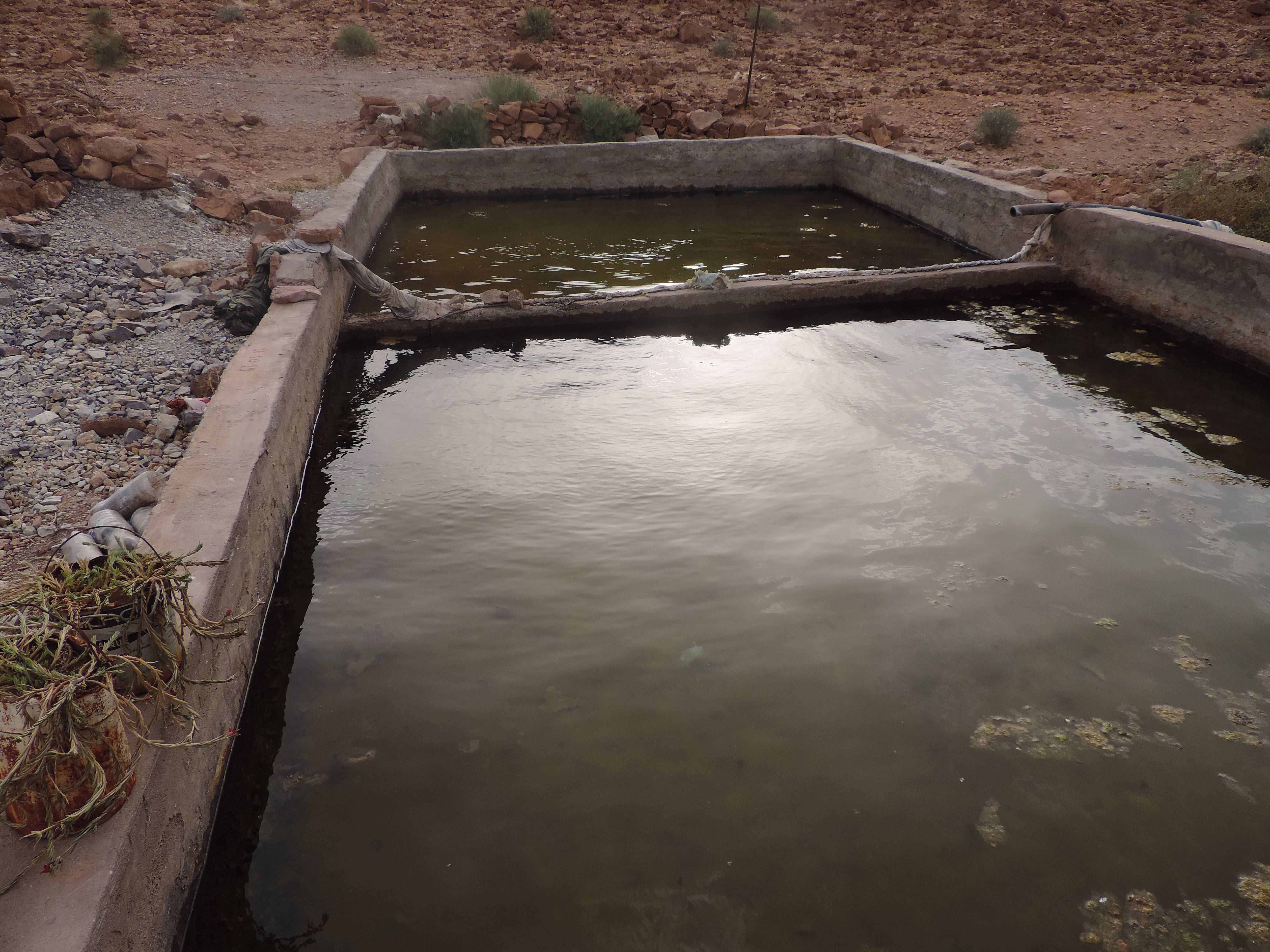 Desert Agriculture at FOM AFSAHEY