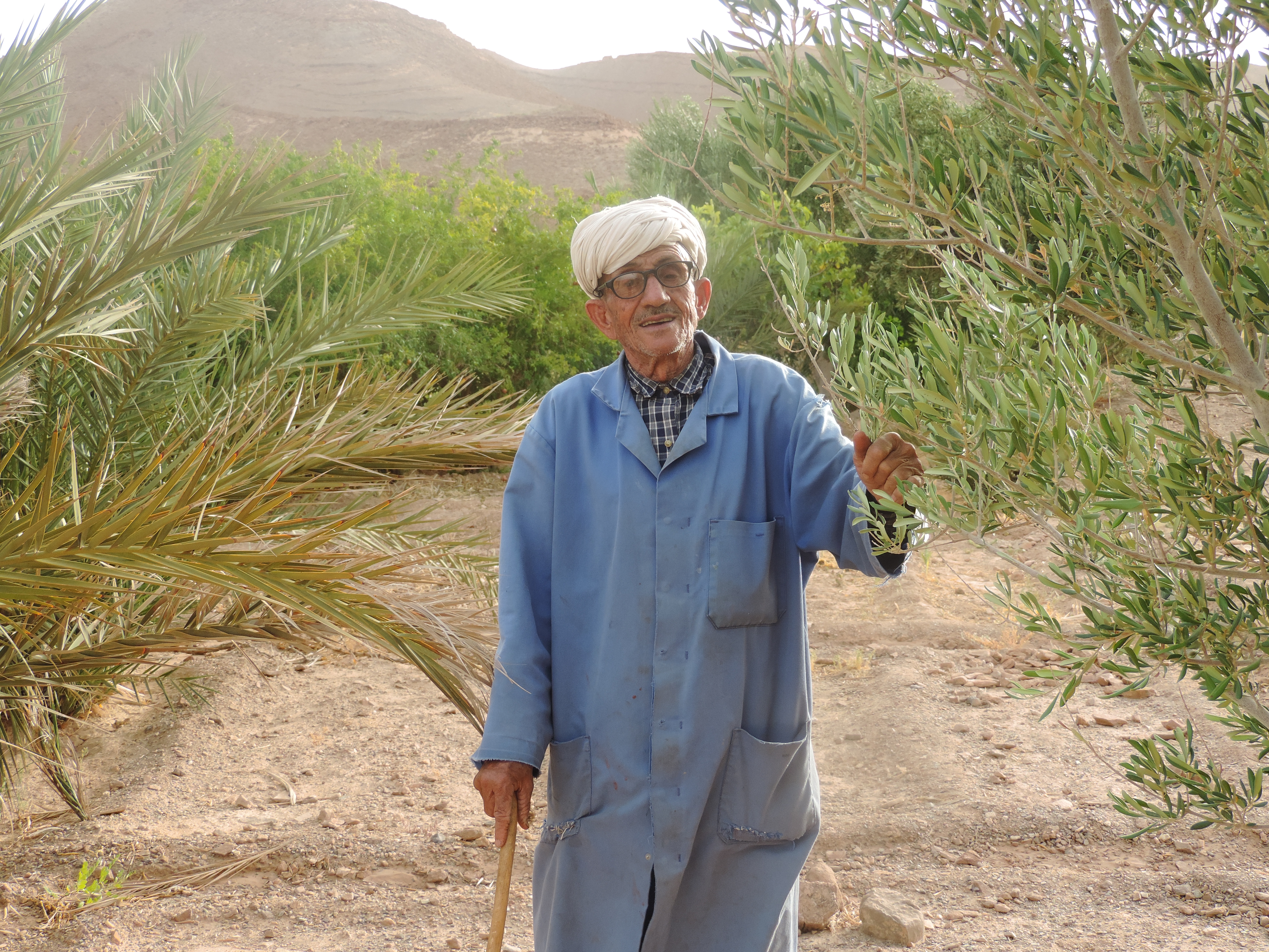 Lahcen among the trees at FOM AFSAHEY